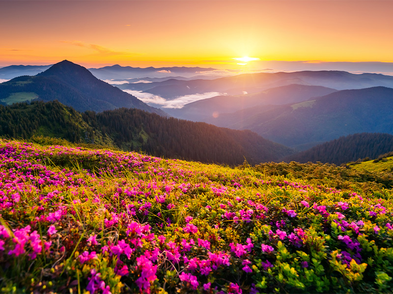 فروشگاه اینترنتی به سوی آینده